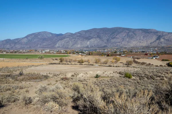 Osoyoos West Bench hassas ekosistem alanı ve Kanada 'daki British Columbia' daki vahşi yaşam ortamı