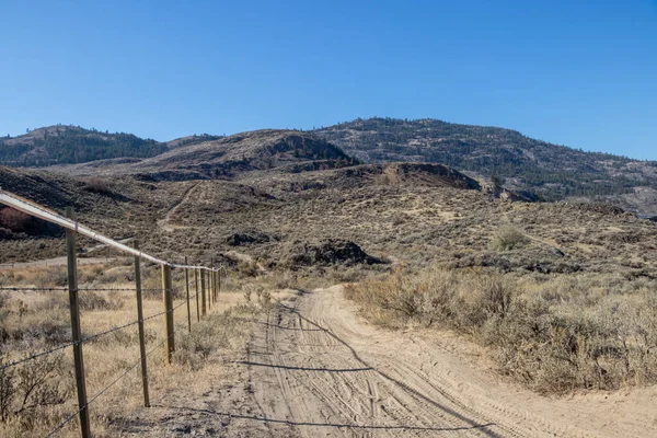 Osoyoos West Bench hassas ekosistem alanı ve Kanada 'daki British Columbia' daki vahşi yaşam ortamı