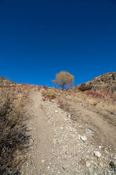 Steiler Weg Auf Dem Oliver Viewpoint Trail Oliver British Columiba — Stockfoto