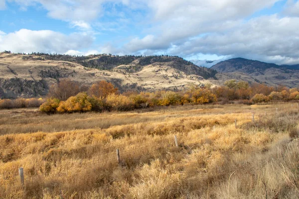 Trockenes Gras Fuße Eines Berges Okanagan Valley Kanada Einem Sonnigen — Stockfoto