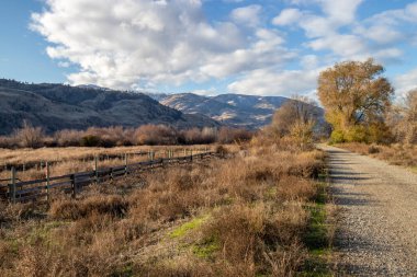 Güneşli bir sonbahar gününde Kanada, British Columbia 'da Osoyoos Oxbow' da Uluslararası Yürüyüş ve Bisiklet Patikası