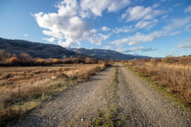 Kanada, British Columbia 'daki Okanagan Vadisi' nde toprak bir yol.