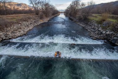 Osyoos, British Columbia, Kanada 'daki Okanagan Nehri' ndeki şelalelerde mahsur kalmış bir yaşam formu.