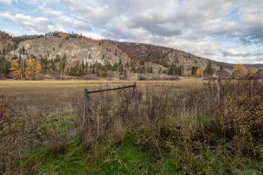 Kanada, BC 'deki Okanagan Vadisi' ndeki bir yaz orman yangınından sonra dağların üzeri yanmış ağaçlarla kaplı.