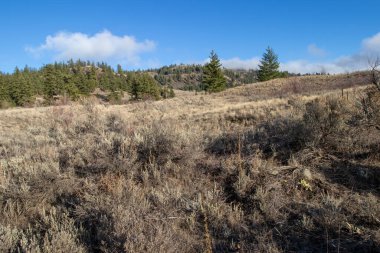 Güney Okanagan Otlakları Britanya Kolumbiyası, Kanada 'da Koruma Alanı