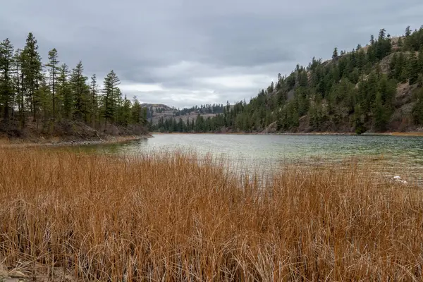 Blue Lake Südlichen Okanagan Grasland Schutzgebiet Einem Bewölkten Novembertag Kanada — Stockfoto