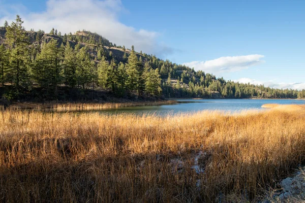 Blue Lake Está Rodeado Bosques Montañas Área Protegida South Okanagan — Foto de Stock