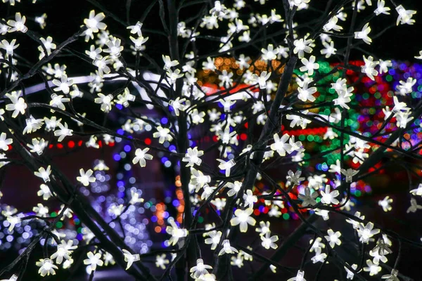 Luces Navidad Iluminadas Por Noche —  Fotos de Stock