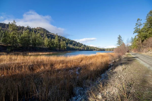 Blue Lake Ist Umgeben Von Wald Und Bergen South Okanagan — Stockfoto