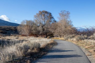Kanada 'da güneşli bir sonbahar gününde Osoyoos, Britanya Kolumbiyası' ndaki Kanal Yolu