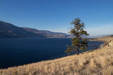 Penticton 'daki Skaha Gölü manzarası Britanya Kolumbiyası, Kanada sonbaharda güneşli bir günde