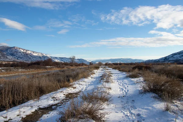 Pistas Nieve Sendero Osoyoos Oxbows Columbia Británica Canadá Día Invierno — Foto de Stock