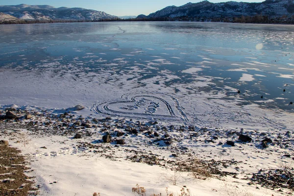 2022 오리에 얼어붙은 호수의 — 스톡 사진