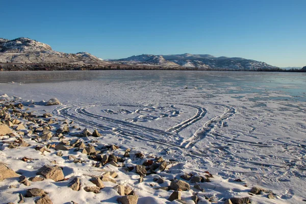 2022 오리에 얼어붙은 호수의 — 스톡 사진