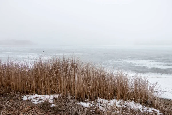 Mráz Trávě Jezera Osoyoos Zimním Dni — Stock fotografie
