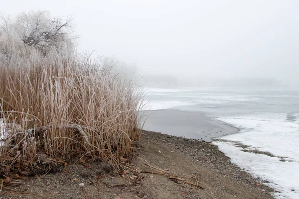 Грязь Траве Лед Озере Осойос Зимний День Бристих Колумбия Канада — стоковое фото