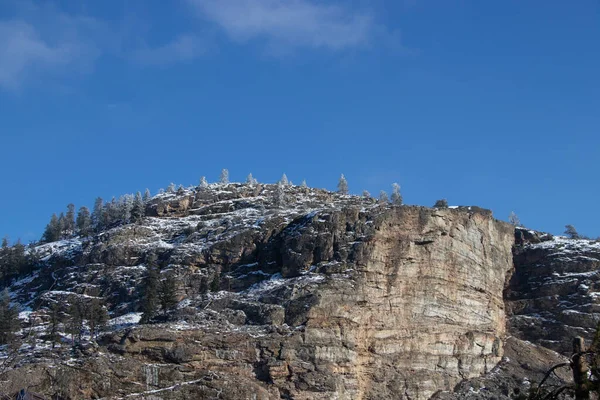Pokryte Śniegiem Drzewa Skalistej Górze Kolumbii Brytyjskiej Kanada Zimowy Dzień — Zdjęcie stockowe