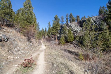 British Columbia, Kanada 'daki Okanagan Vadisi' ndeki Skaha Bluffs İl Parkı 'nda yürüyüş parkı.