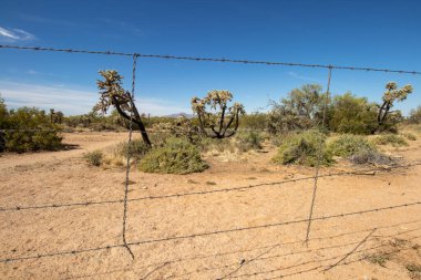 Barb wire fence in the desert in Arizona, United States