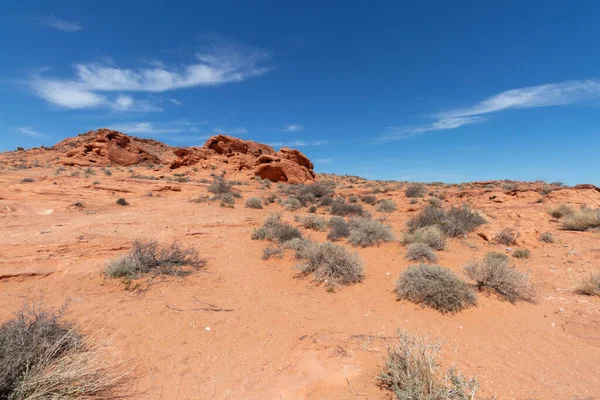 desert view at Lake Mead Recreation Area in Nevada