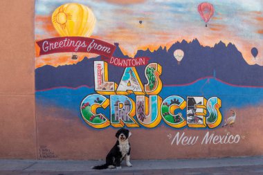 Las Cruces, New Mexico, United States - April 4, 2022: Dog sitting in front of a colourful mural in the city.