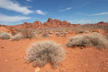 Aztec sandstone at Valley of Fire State Park in Nevada, USA