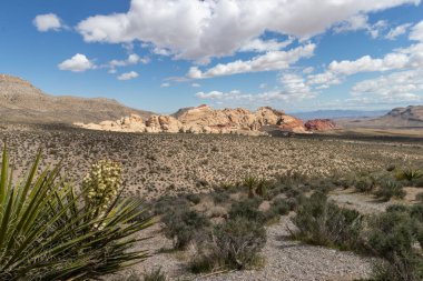 Desert landscape at Red Rock Canyon National Conservation Area in Las Vegas, Nevada