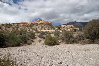 Unique rock formations at Red Rock Canyon National Conservation Area in Las Vegas, Nevada