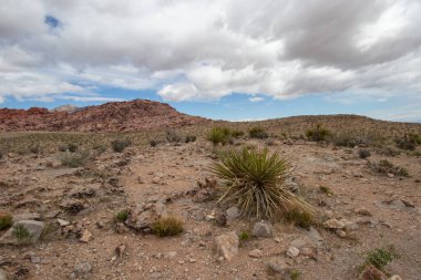 Red Rock Canyon National Conservation Area in Las Vegas, Nevada