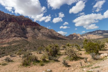A sunny spring day at Red Rock Canyon National Conservation Area in Las Vegas, Nevada