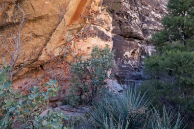 LAS VEGAS, NEVADA, UNITED STATES - MARCH 29, 2022: Petroglyph in the Aztec Sandstone at Red Rock Canyon National Conservation Area.