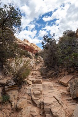 Red Rock Canyon National Conservation Area in Las Vegas, Nevada