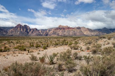 Red Rock Canyon National Conservation Area in Las Vegas, Nevada on a cloudy spring day