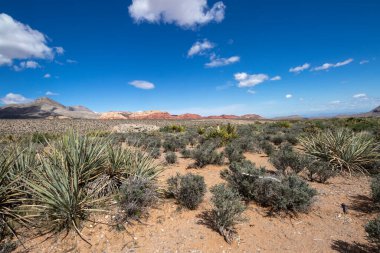 Desert view at Red Rock Canyon National Conservation Area in Las Vegas, Nevada