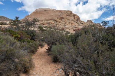hiking trail at Red Rock Canyon National Conservation Area in Las Vegas, Nevada