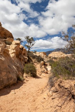 Trail in the desert at Red Rock Canyon National Conservation Area in Las Vegas, Nevada