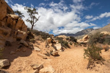 Red Rock Canyon National Conservation Area in Las Vegas, Nevada
