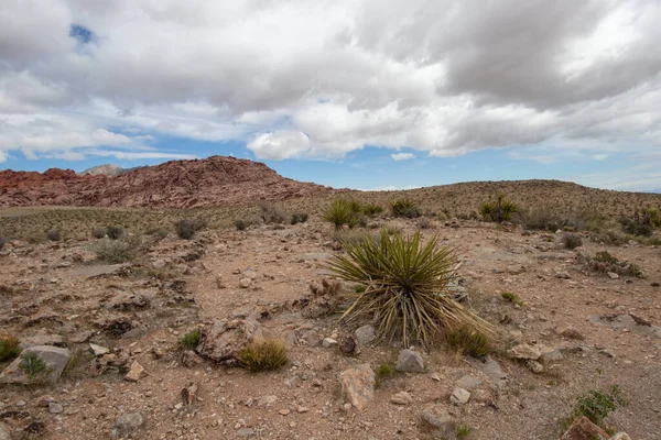 Red Rock Canyon National Conservation Area Las Vegas Nevada — Foto de Stock