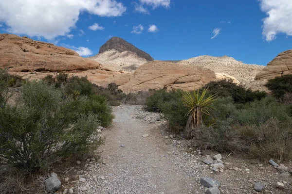Red Rock Canyon National Conservation Area in Las Vegas, Nevada
