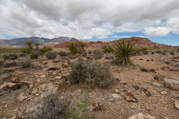 Red Rock Canyon National Conservation Area Las Vegas Nevada — Zdjęcie stockowe