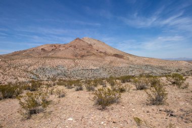 Springtime in the desert at Picacho Peak in Las Cruces New Mexico 