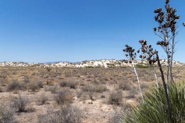 sand dunes in the desert at White Sands National Park in Tularosa Basin in New Mexico