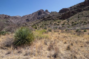 View from Dripping Springs Natural Area in Las Cruces, New Mexic