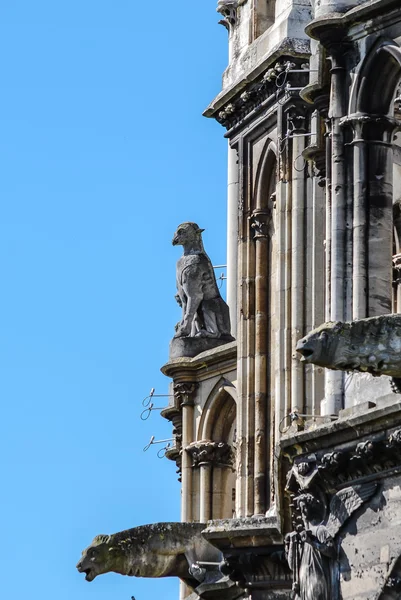 Gargoyle à Reims — Photo