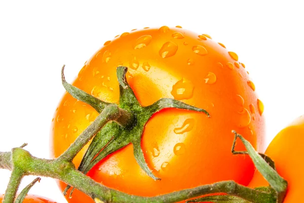 Orangene Tomaten auf weißem Hintergrund — Stockfoto