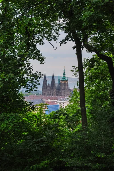 St.Vitus Cathedral seen from a hill — Stock Photo, Image