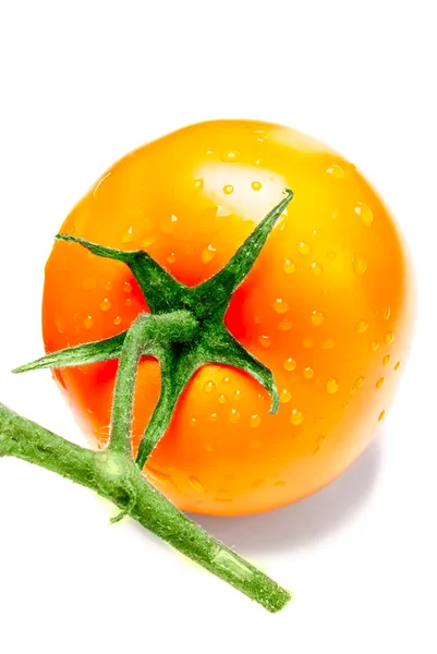 Tomates rojos sobre un fondo blanco —  Fotos de Stock