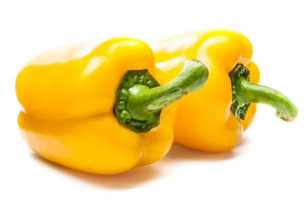 Paprika 's op een witte achtergrond — Stockfoto