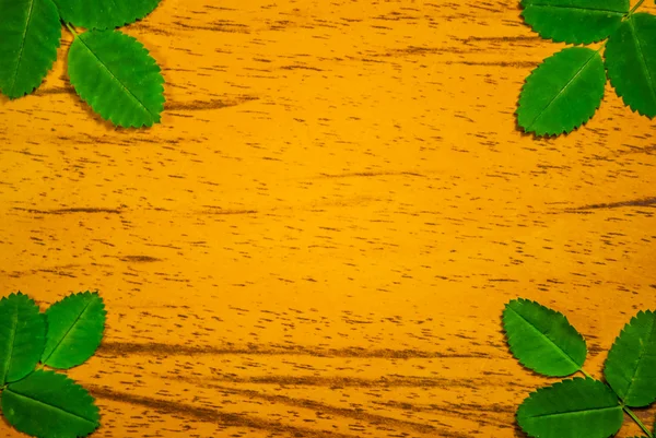 Blätter auf Holz Hintergrund — Stockfoto