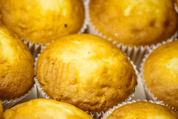 Muffins auf Teller — Stockfoto